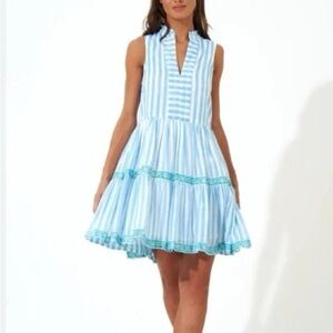 OLIPHANT- Blue Nassau Yoke Dress (M)